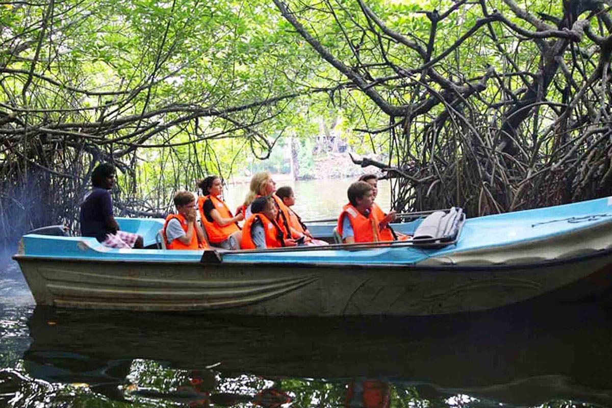 Bentota River Safari
